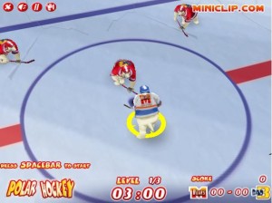 Polar Hockey.