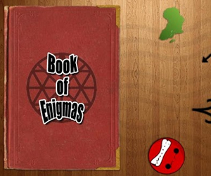 Book of enigmas.